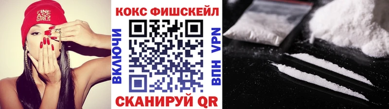 купить наркотик  Энгельс  COCAIN Fish Scale 