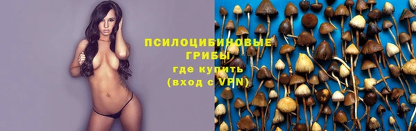 гашик Волоколамск